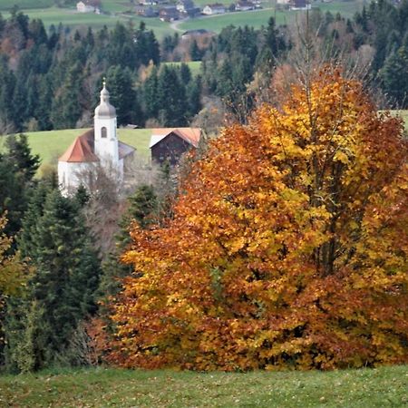 Appartamento Ferien In Feld 109 Langenegg Esterno foto