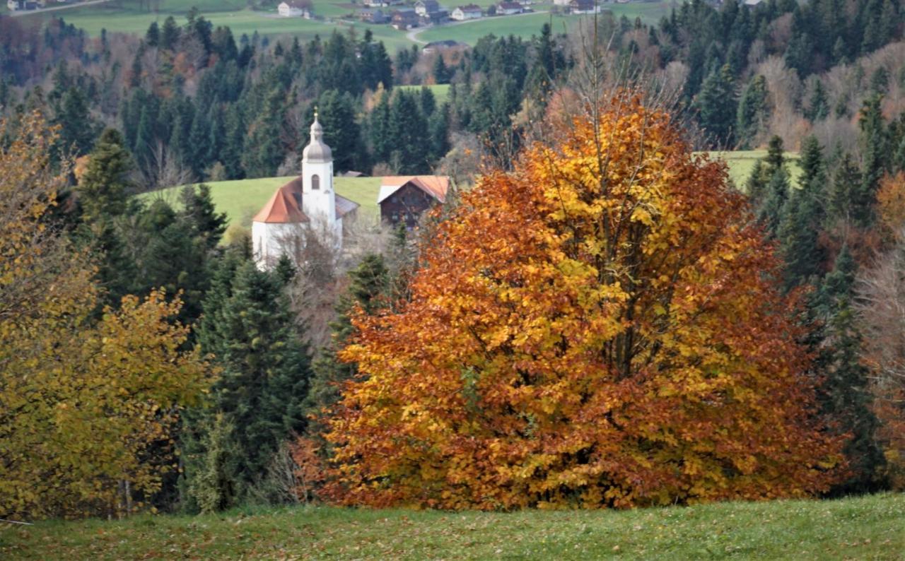 Appartamento Ferien In Feld 109 Langenegg Esterno foto