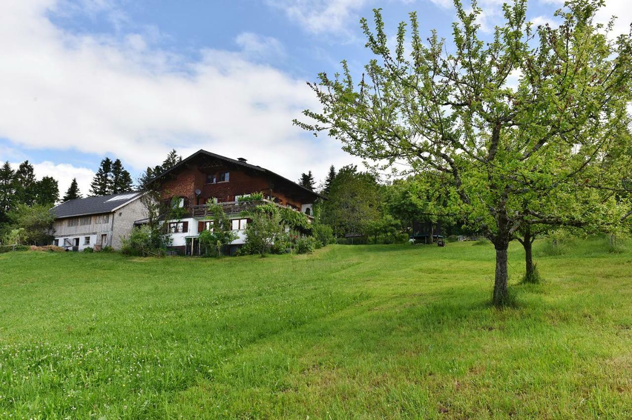 Appartamento Ferien In Feld 109 Langenegg Esterno foto