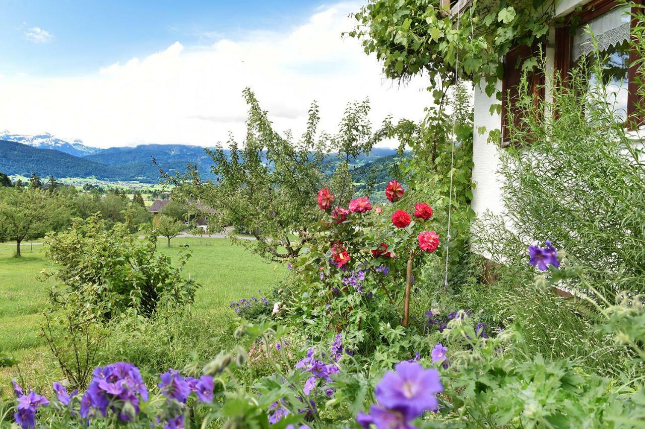 Appartamento Ferien In Feld 109 Langenegg Esterno foto