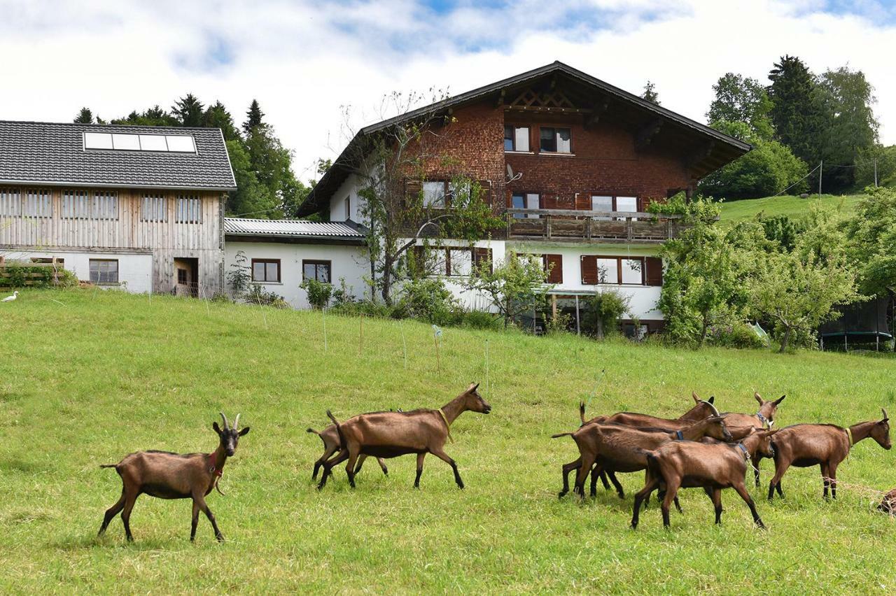 Appartamento Ferien In Feld 109 Langenegg Esterno foto