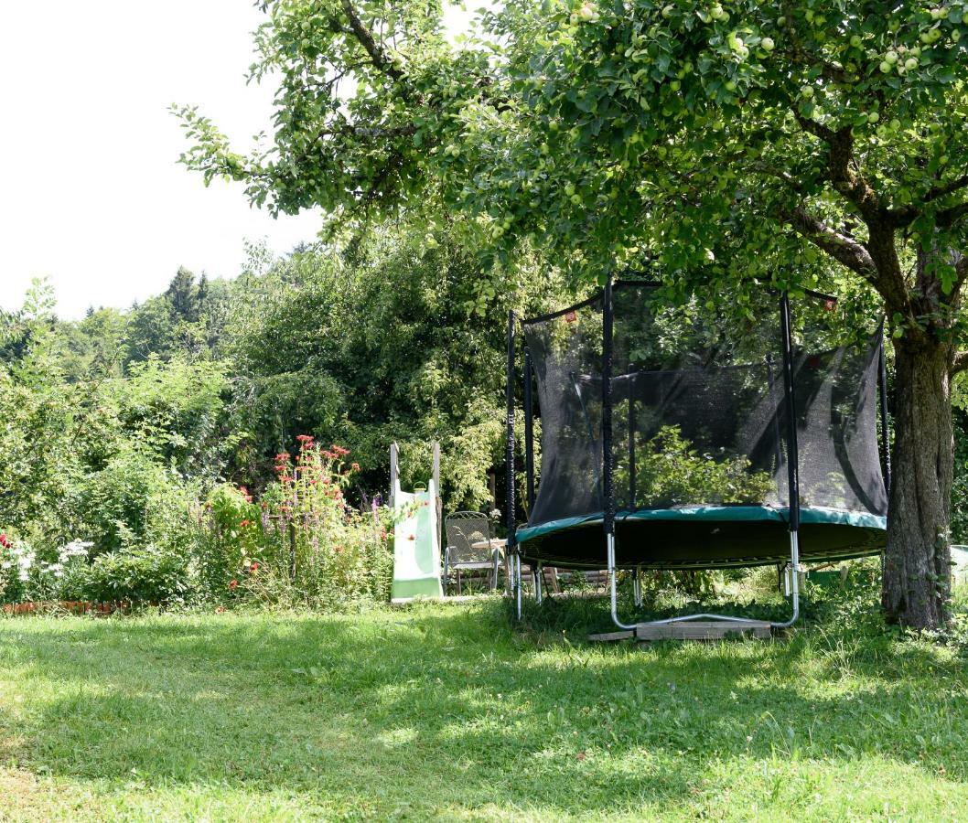 Appartamento Ferien In Feld 109 Langenegg Esterno foto